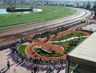 Turf Paradise Race Course