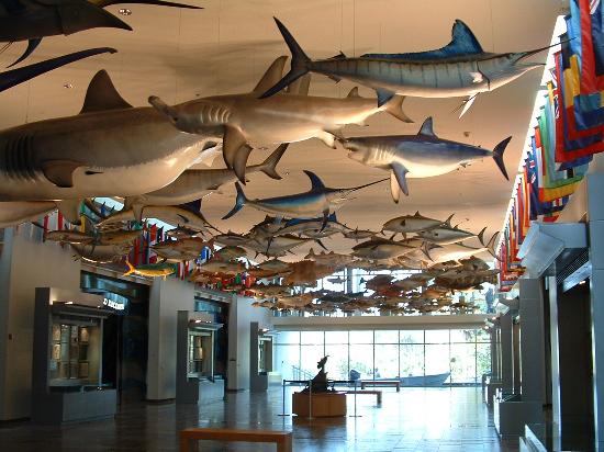 International Game Fish Association's Fishing Hall of Fame & Museum
