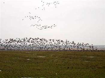 Waconda Lake Wildlife Area