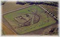 Crop Art