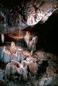 Ozark Lake Area Caves