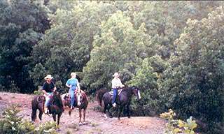 Stockton Lake Area Equestrian Trails
