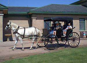 Buggy Rides