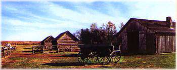 Rock Creek Station-Barns
