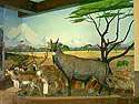 Horned Animals