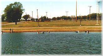 City Park Ponds