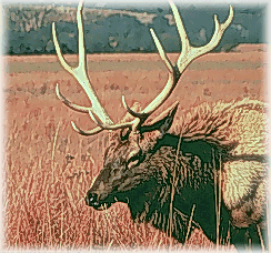 Wichita Mountains NWR - Hunting
