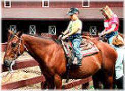 Sequoyah State Park Stables