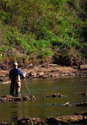 South Holston Lake Fishing