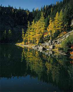 Wenatchee National Forest Campgrounds