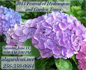 Festival of Hydrangeas