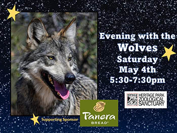 Evening with the Wolves - Heritage Park Zoological Sanctuary