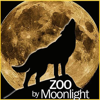 Zoo by Moonlight - Heritage Park Zoological Sanctuary