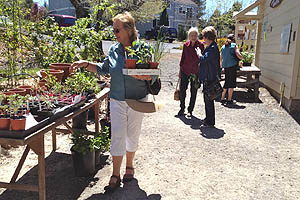 Open House and Plant Sale at Luther Burbank’s Experiment Farm 