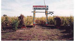 Pumpkinville Corn Maze