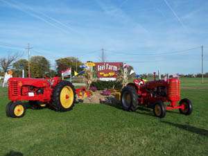 Izzi Farm Corn Maze and Pumpkin Patch