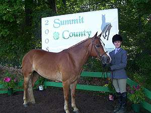 Summit County Saddle Horse Open Show Series
