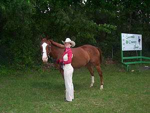 Summit County Saddle Horse Open Show Series