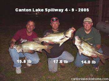 Canton Lake Walleye Rodeo