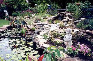 Annual Home Water Garden Tour