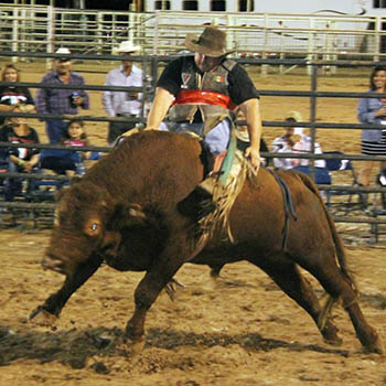 Annual Toro Loco Bull Riding Challenge