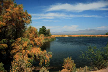 Beaver Lake Cabins on At Roper Lake Are Not Only Inviting  They Re Invigorating  Roper Lake