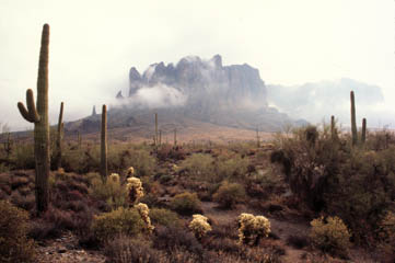 Lost Dutchman State Park