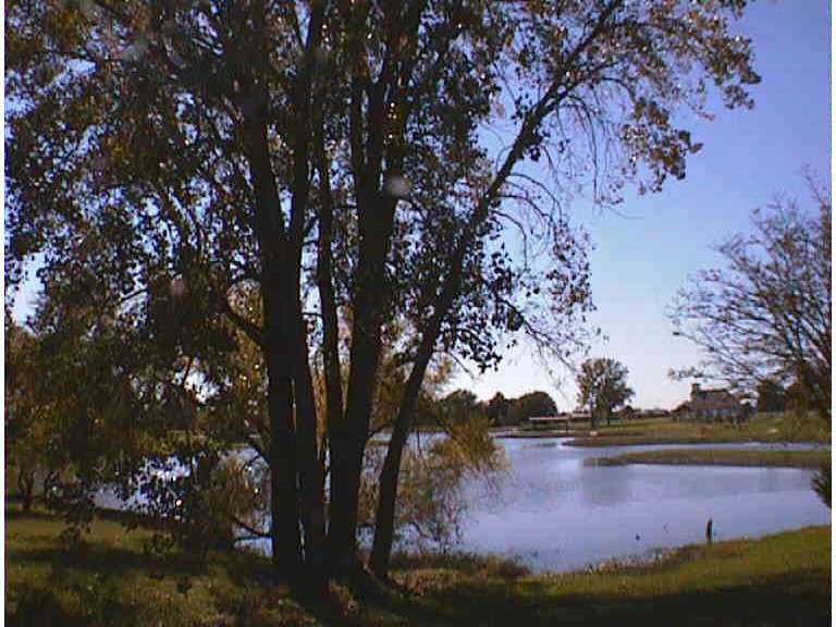 City of New Strawn
