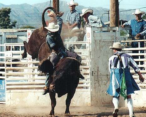 Helzapoppin' PRCA Rodeo
