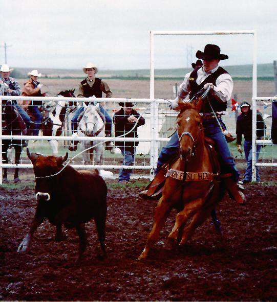 Annual FHSU N.I.R.A. Rodeo