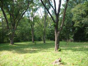 ArdPark Cabins - Steelville, MO