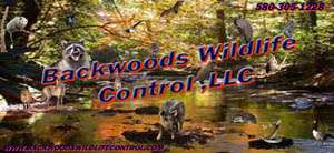 Backwoods Wildlife Control, LLC - Frederick, OK