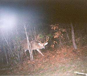 Woodruff Lake Hunting