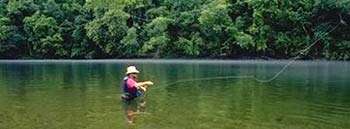 Bull Shoals Lake Fishing