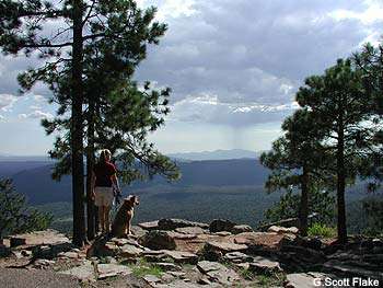 The Mogollon Rim