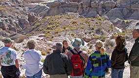 Petrified Forest Field Institute courses