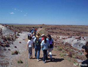 Petrified Forest NP Hiking