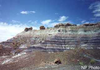 Petrified Forest NP Camping