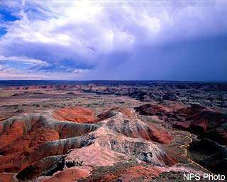 Petrified Forest NP Horseback Riding