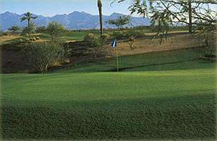 Palm Valley Golf Club