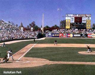 Chicago Cubs Spring Training