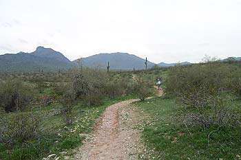 Estrella Park Trails