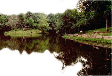 Lake Shelbyville Fishing