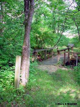 Lake Shelbyville Trails