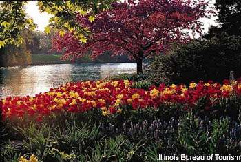 The Chicago Botanic Garden