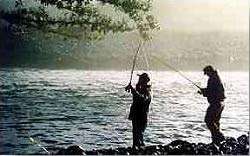 Carlyle Lake Fishing