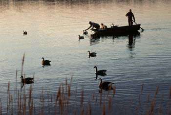 Carlyle Lake Hunting