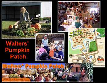 Walter's Pumpkin Patch