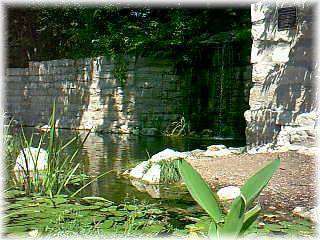 Historic Natural Spring