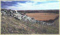 Historic Stone Fences